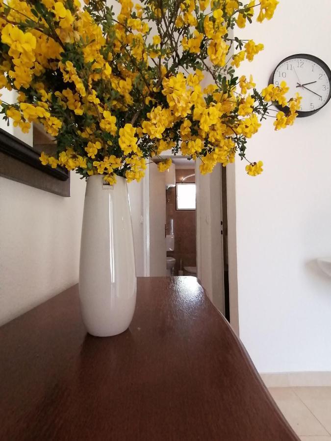 Apartment Borovi With Terrace And Parking Podaca Exterior photo